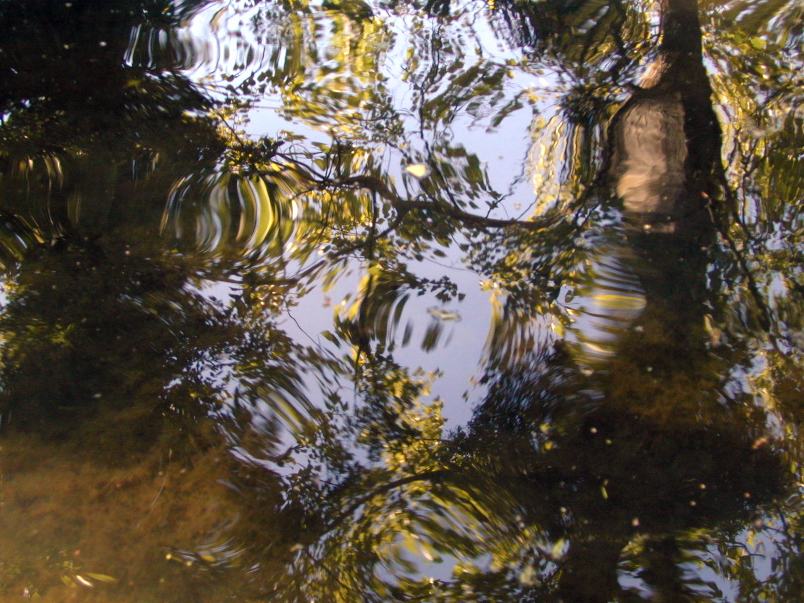 Wallpapers Nature Water - Reflection Reflets