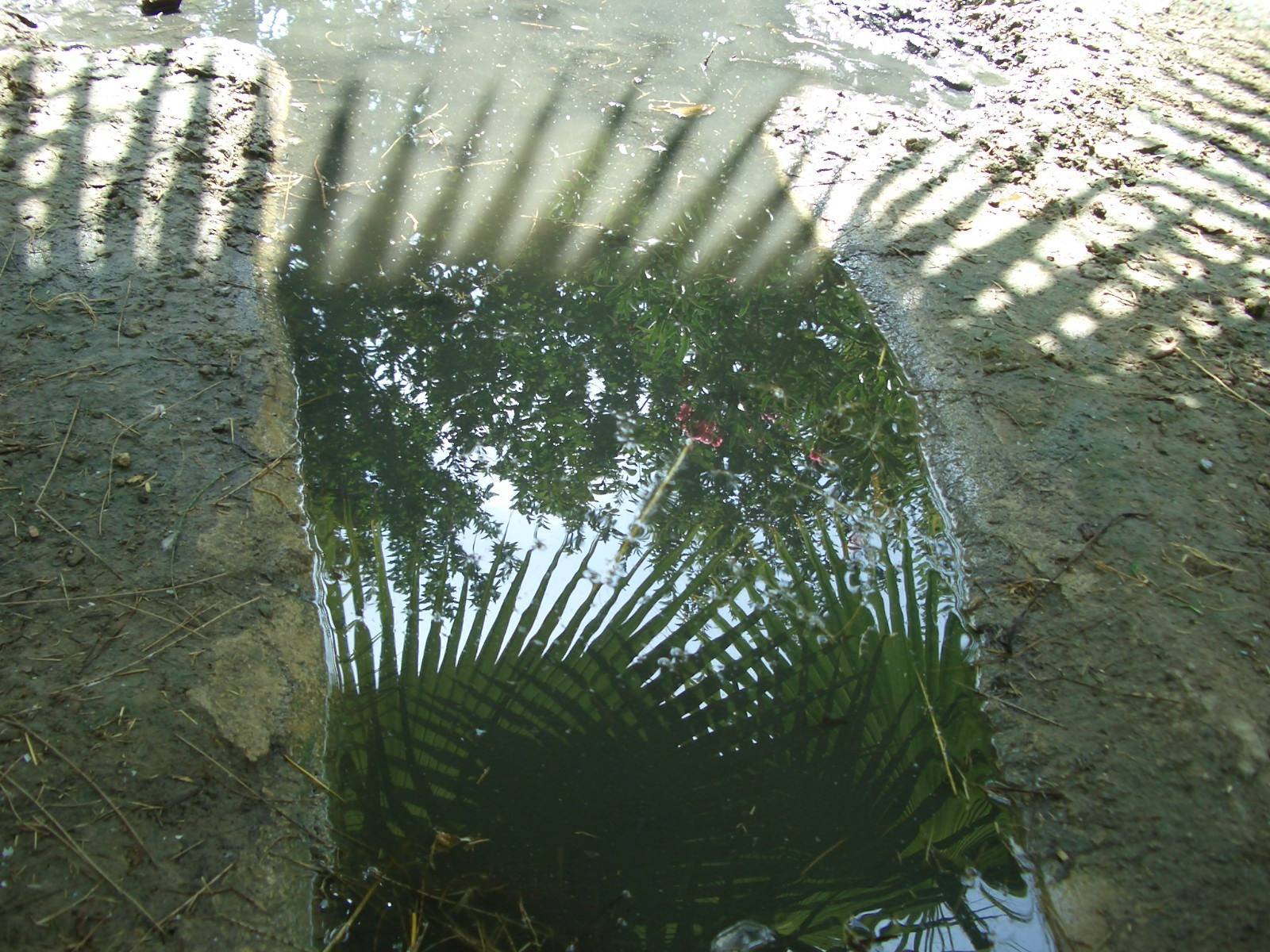 Fonds d'cran Nature Eau - Reflets 