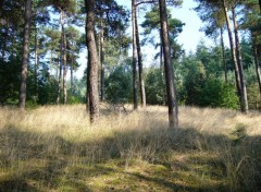 Fonds d'cran Nature Lemelerberg