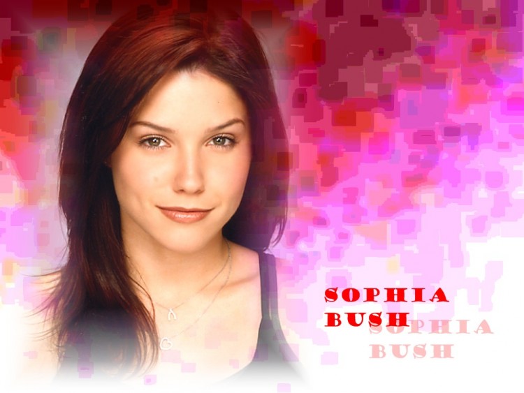 Wallpapers Celebrities Women Sophia Bush Wallpaper N115102