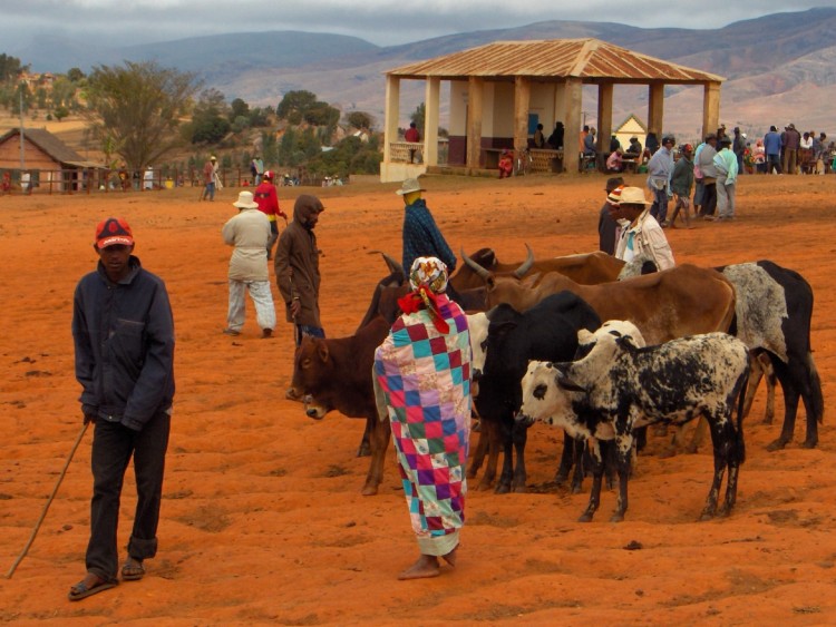 Fonds d'cran Voyages : Afrique Madagascar Au march d'Ambalavao