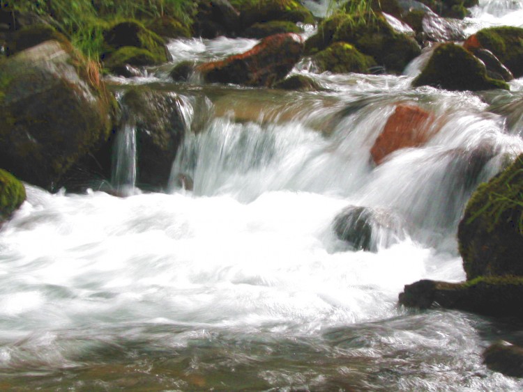 Fonds d'cran Nature Fleuves - Rivires - Torrents torrent des alpes