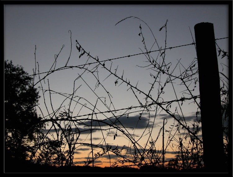 Fonds d'cran Nature Couchers et levers de Soleil Crpuscule