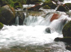 Fonds d'cran Nature torrent des alpes