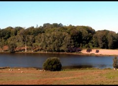 Fonds d'cran Nature Etang pano