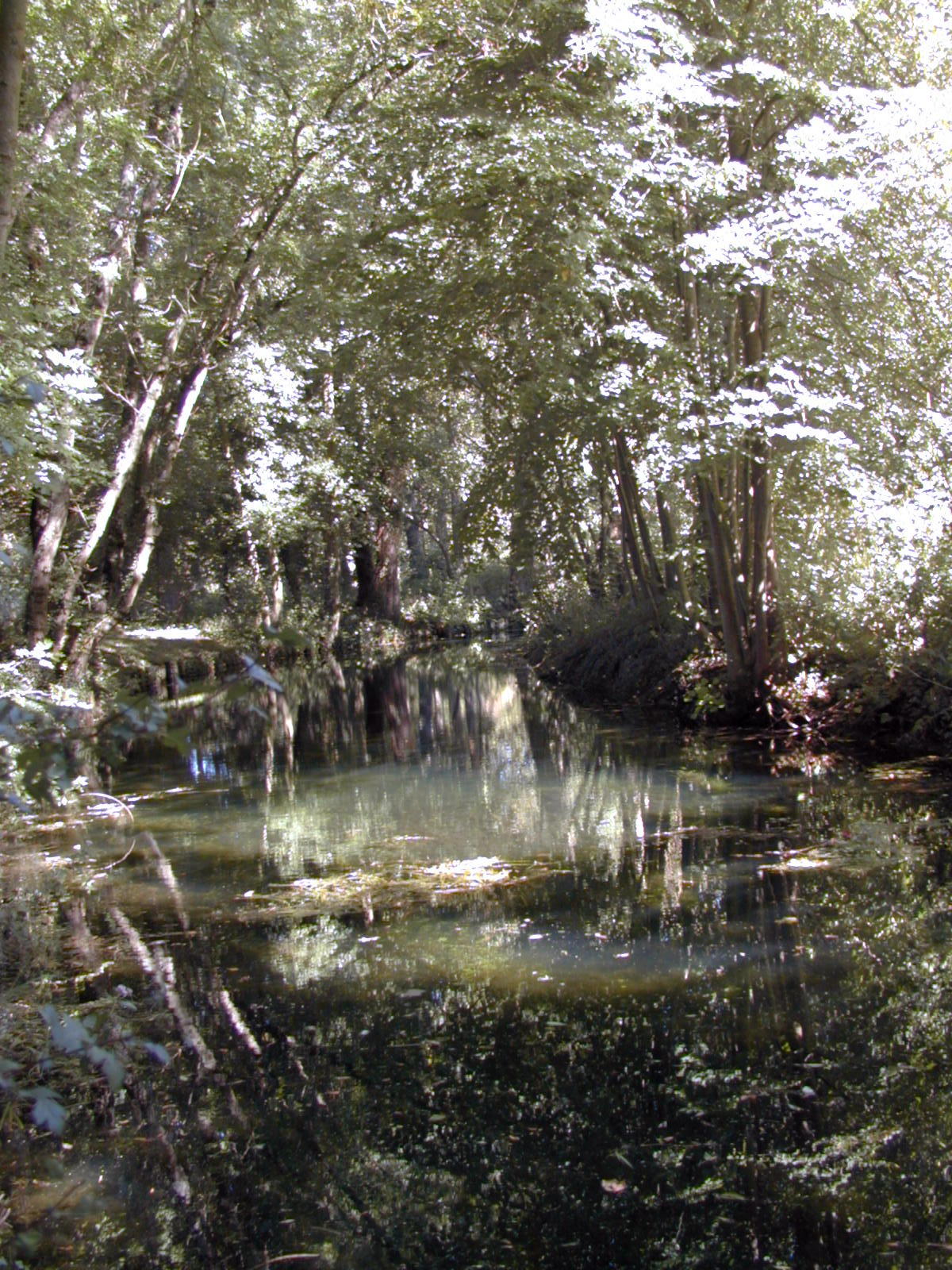 Wallpapers Nature Water - Reflection Reflets