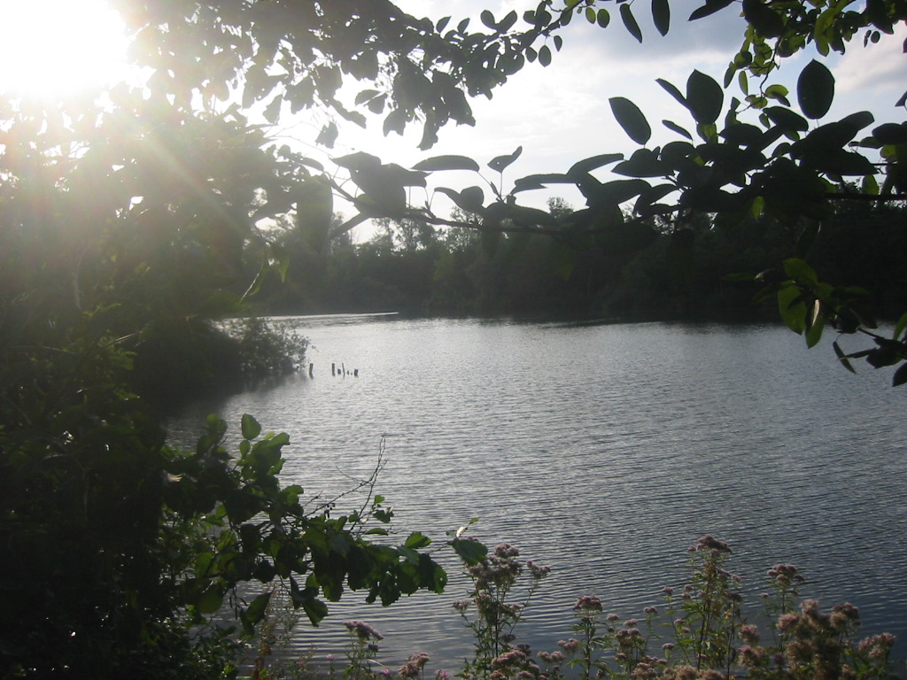 Wallpapers Nature Sunsets and sunrises Fin de journe sur les marais d'Isle