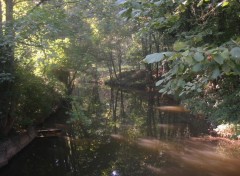 Wallpapers Nature Reflets sur l'Oise