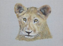 Fonds d'cran Art - Peinture Lionceau ( http://carine.ariberti.net )