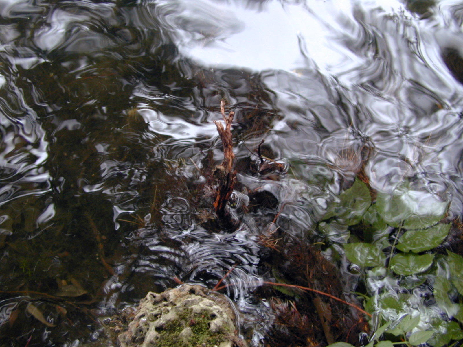 Wallpapers Nature Water - Reflection Reflets