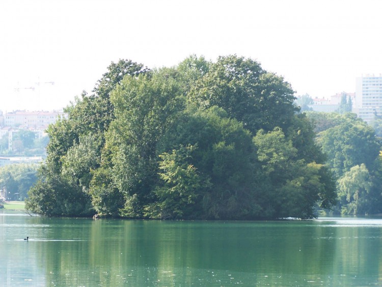 Fonds d'cran Nature Couchers et levers de Soleil Lac du parc de la Tte d'Or de Lyon