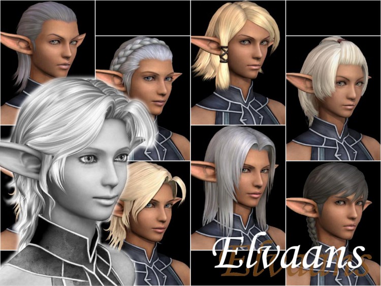 Wallpapers Video Games Final Fantasy XI Elvaans F