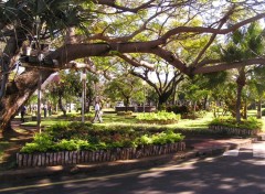 Fonds d'cran Voyages : Afrique place de la mairie st pierre