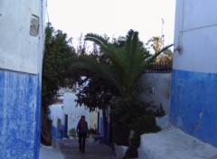 Fonds d'cran Voyages : Afrique Rue de Rabat