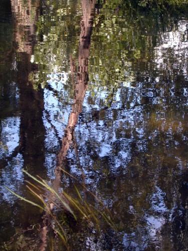 Wallpapers Nature Water - Reflection Reflets