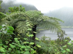 Fonds d'cran Nature grand etang