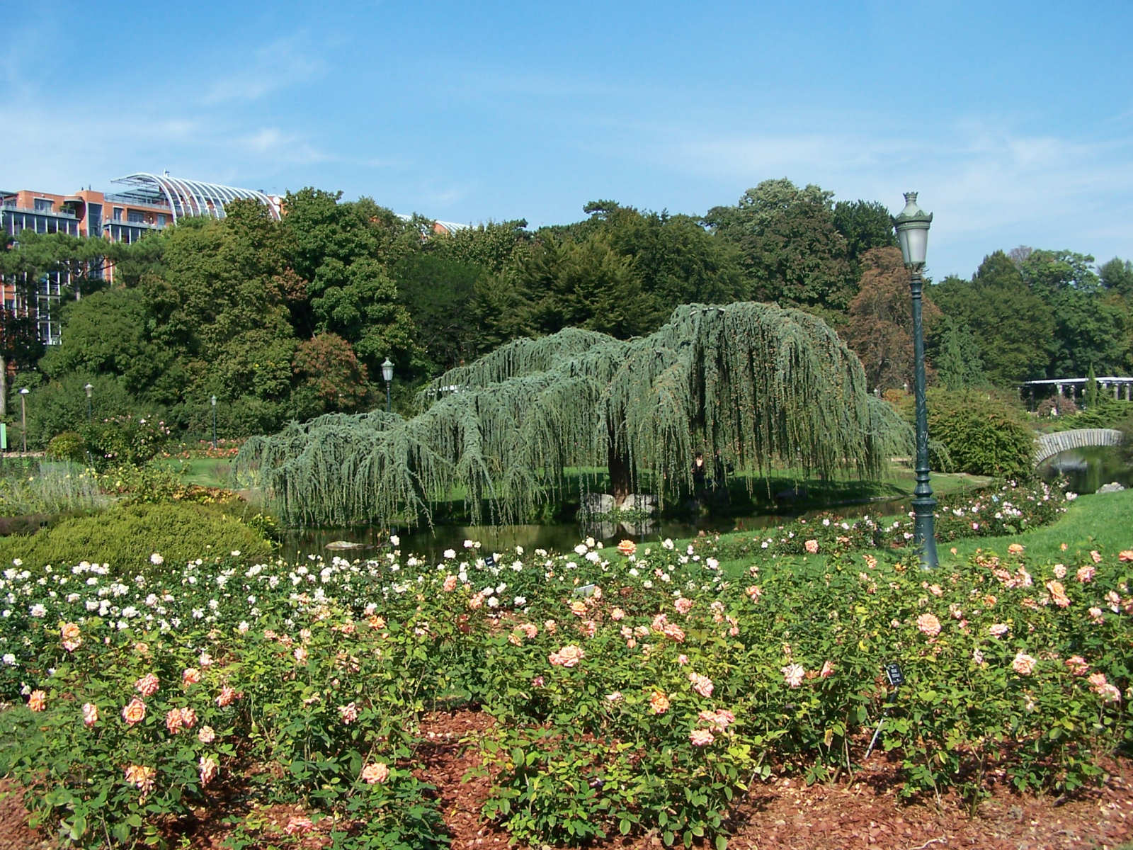 Fonds d'cran Nature Parcs - Jardins 