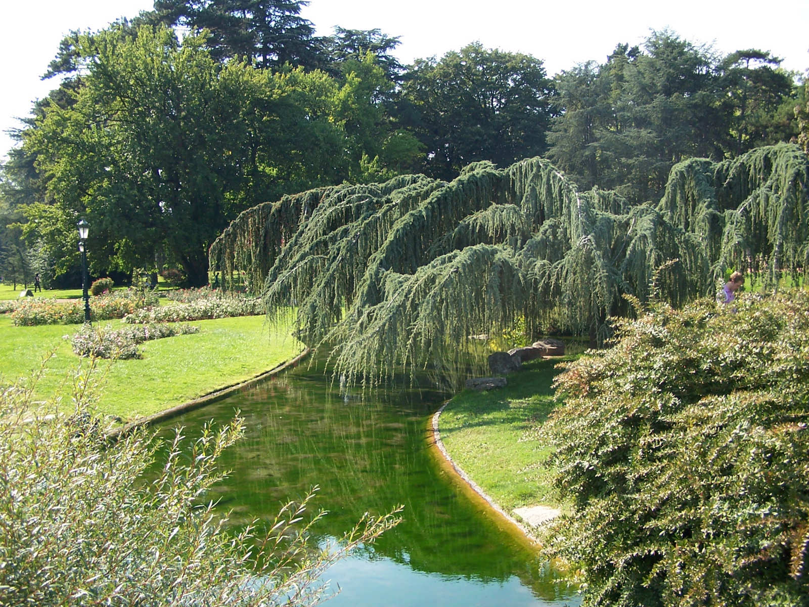 Fonds d'cran Nature Parcs - Jardins 