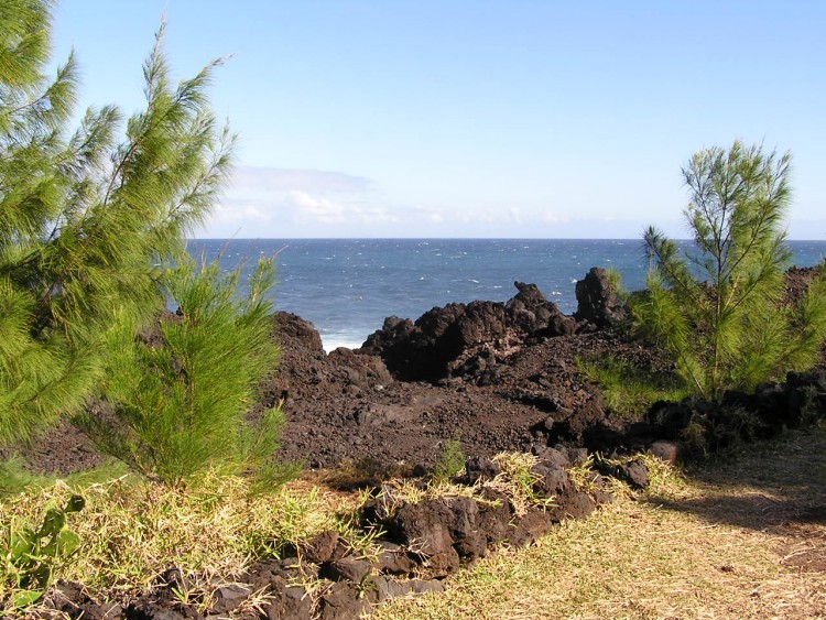 Fonds d'cran Voyages : Afrique La Runion nature