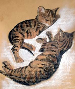 Wallpapers Art - Pencil Animals - Cats - Kittens Chatons