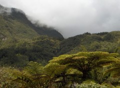 Fonds d'cran Voyages : Afrique Cirque de Salazie