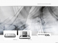 Fonds d'cran Jeux Vido Nintendo DS