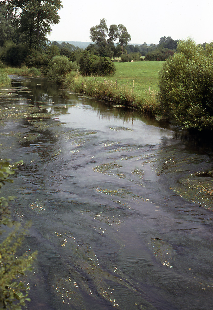 Fonds d'cran Nature Fleuves - Rivires - Torrents La Lhomme (Belgique)