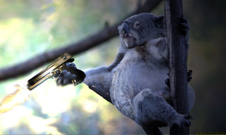 Wallpapers Digital Art Animals Animal soldier Koala