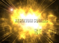 Wallpapers Music reservoir squales 3