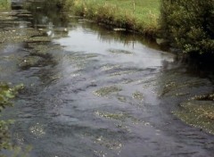 Fonds d'cran Nature La Lhomme (Belgique)