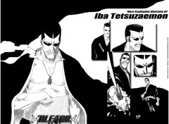 Wallpapers Manga Ruthay Bleach Iba Tetsuzaemon 01