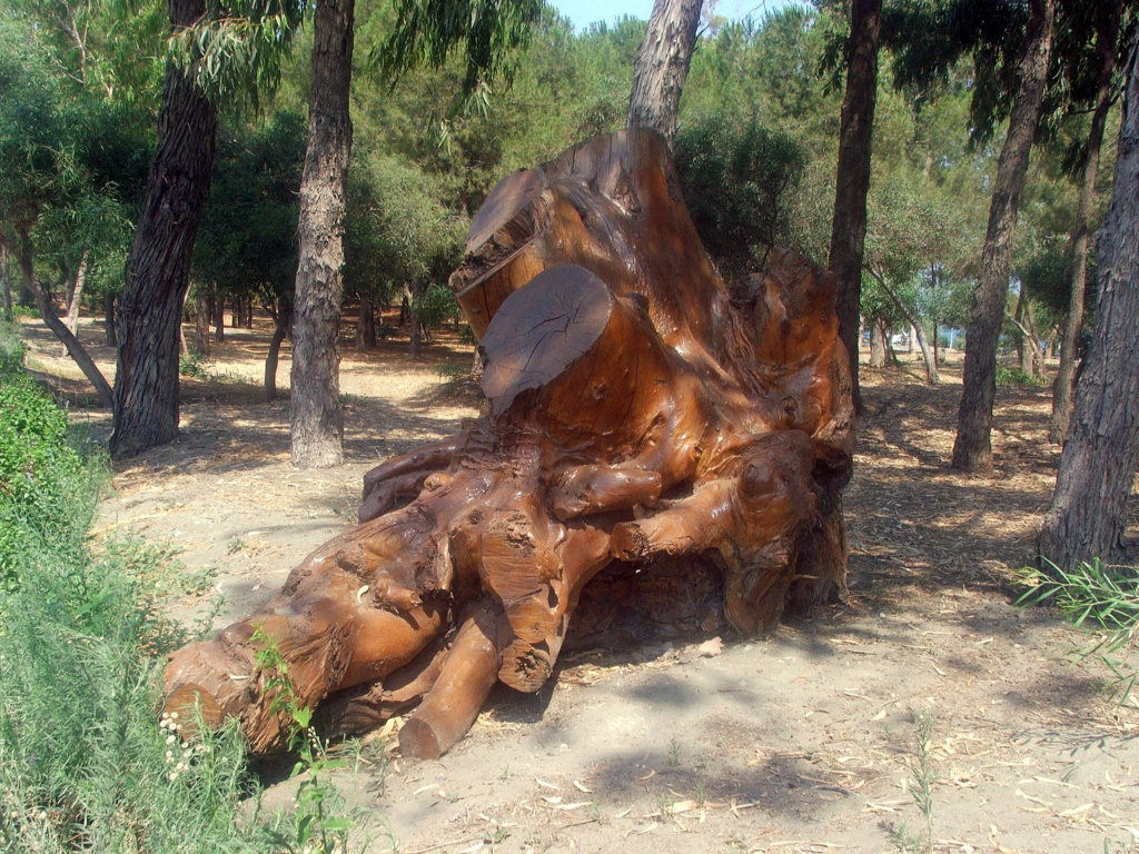 Fonds d'cran Nature Arbres - Forts Ile de Chypre : Limassol