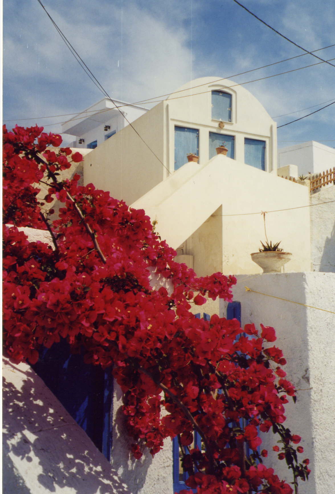 Fonds d'cran Voyages : Europe Grce Bougainvilles  Mesa Gania - Santorin