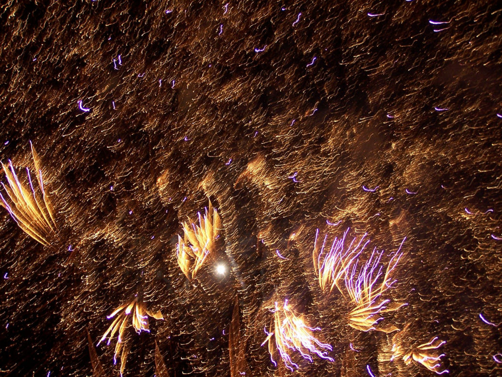 Wallpapers People - Events Fireworks Quand le ciel ressemble  un fond marin !