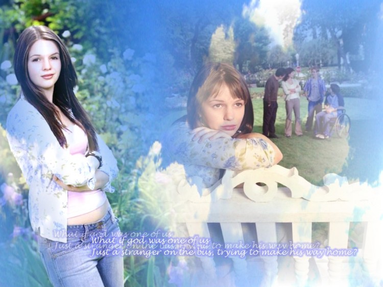 Wallpapers TV Soaps Joan of Arcadia Wallpaper N116727