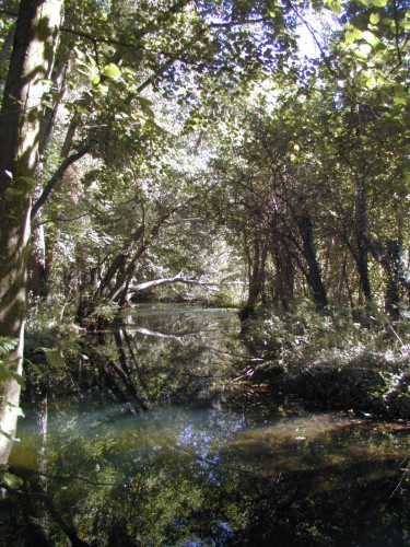 Fonds d'cran Nature Fleuves - Rivires - Torrents Le Fusain