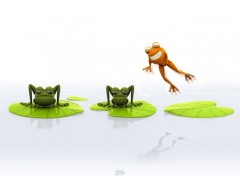 Wallpapers Digital Art grenouille