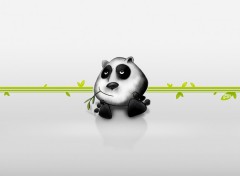 Wallpapers Digital Art Panda