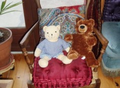 Fonds d'cran Objets Pour GROS NOUNOURS 