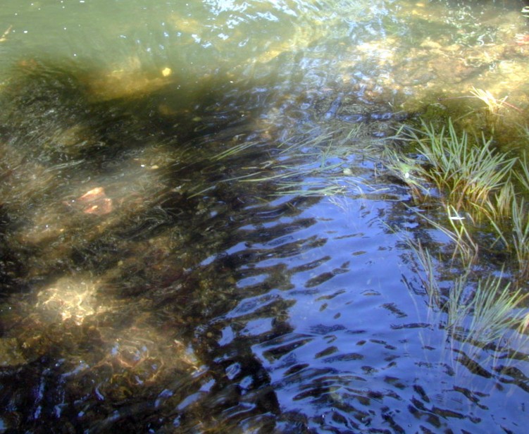 Wallpapers Nature Water - Reflection Reflets