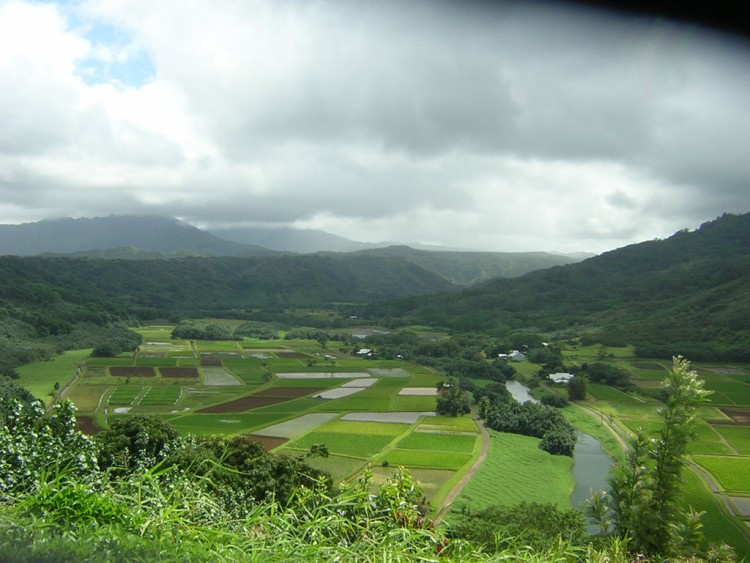 Fonds d'cran Nature Paysages verte valle