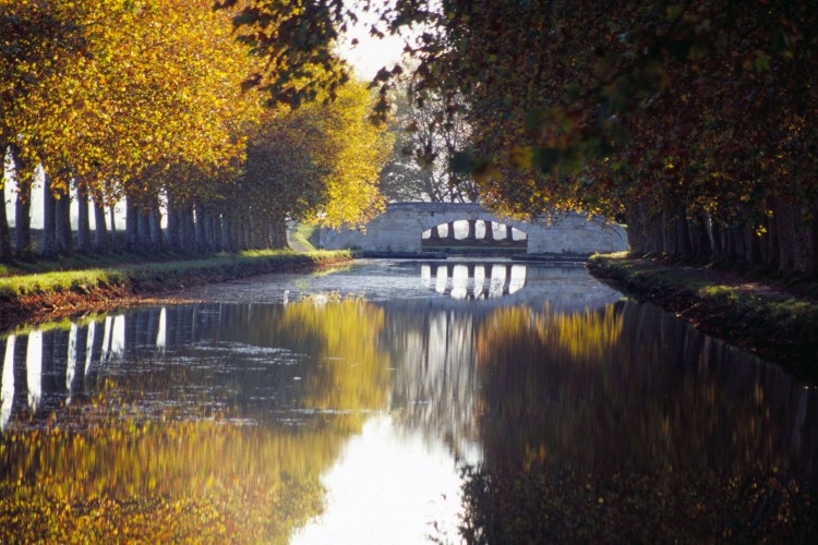 Wallpapers Nature Seasons - Fall Languedoc/Roussillon