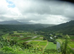 Fonds d'cran Nature verte valle