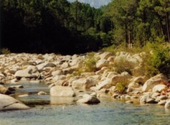 Fonds d'cran Nature La Solenzara, au fond, les aiguilles de Bavella