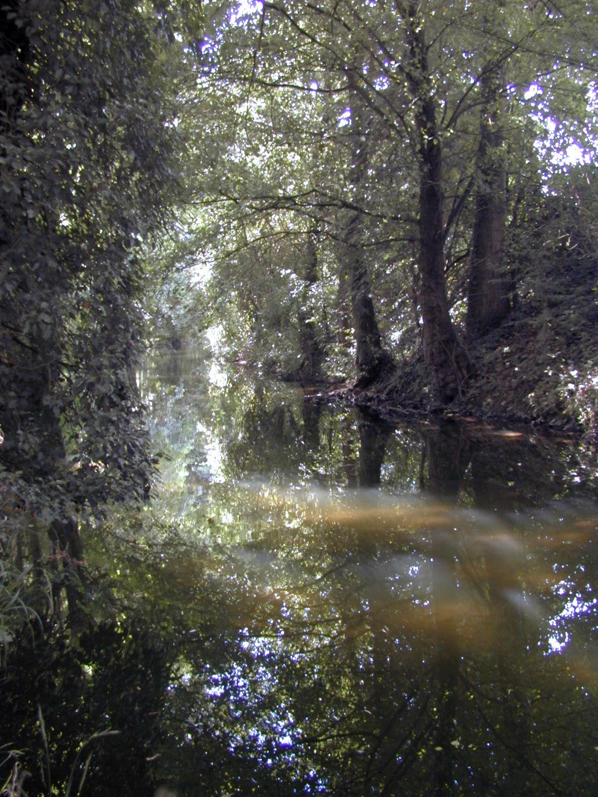 Fonds d'cran Nature Fleuves - Rivires - Torrents Le Fusain