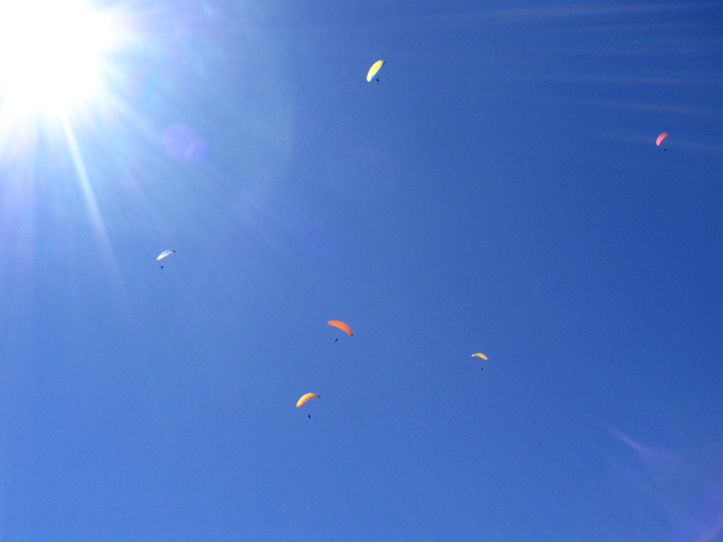 Fonds d'cran Sports - Loisirs Parachutisme Groupement parapentes