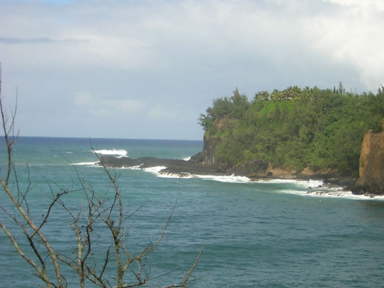 Fonds d'cran Nature Mers - Ocans - Plages envie de rver