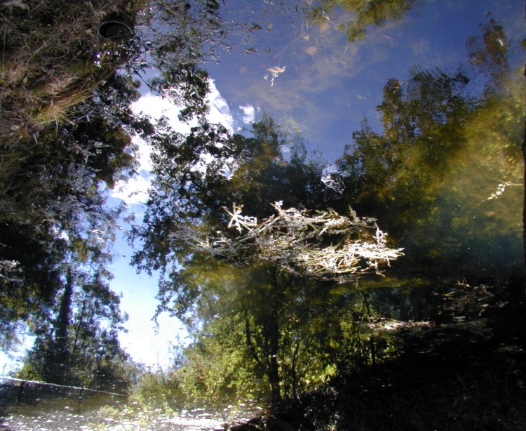 Wallpapers Nature Water - Reflection Reflets