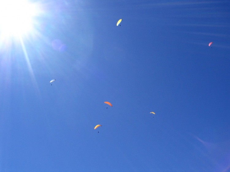 Fonds d'cran Sports - Loisirs Parachutisme Groupement parapentes