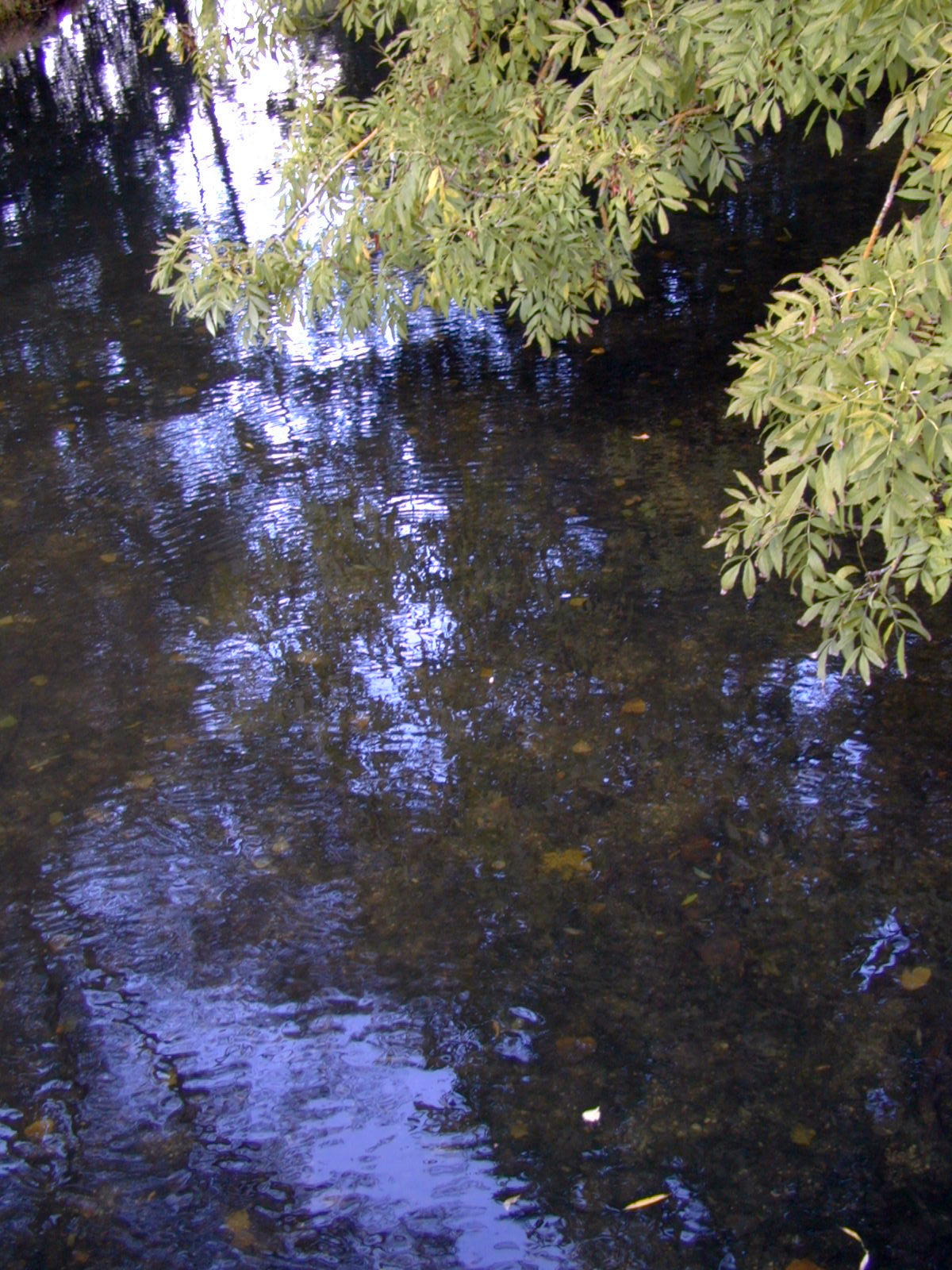 Wallpapers Nature Water - Reflection Reflets